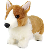 Corgi-Carlotte