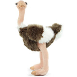 Ostrich-Ola