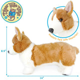 Corgi-Carlotte