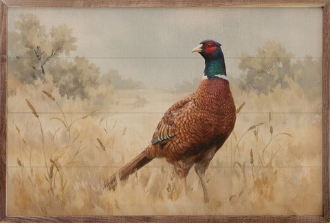 Pheasant in Wheat Field