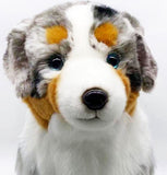 Australian Shepherd-Shep