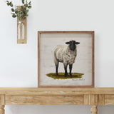 Sheep On Grass By Bonnie Mohr
Sign