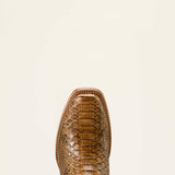 Ariat Women's Futurity Dash Honey Python Boot