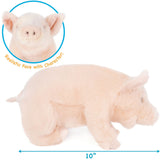 Pig-Perla