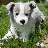 Grey Border Collie-Thor