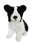Border Collie-Hunter