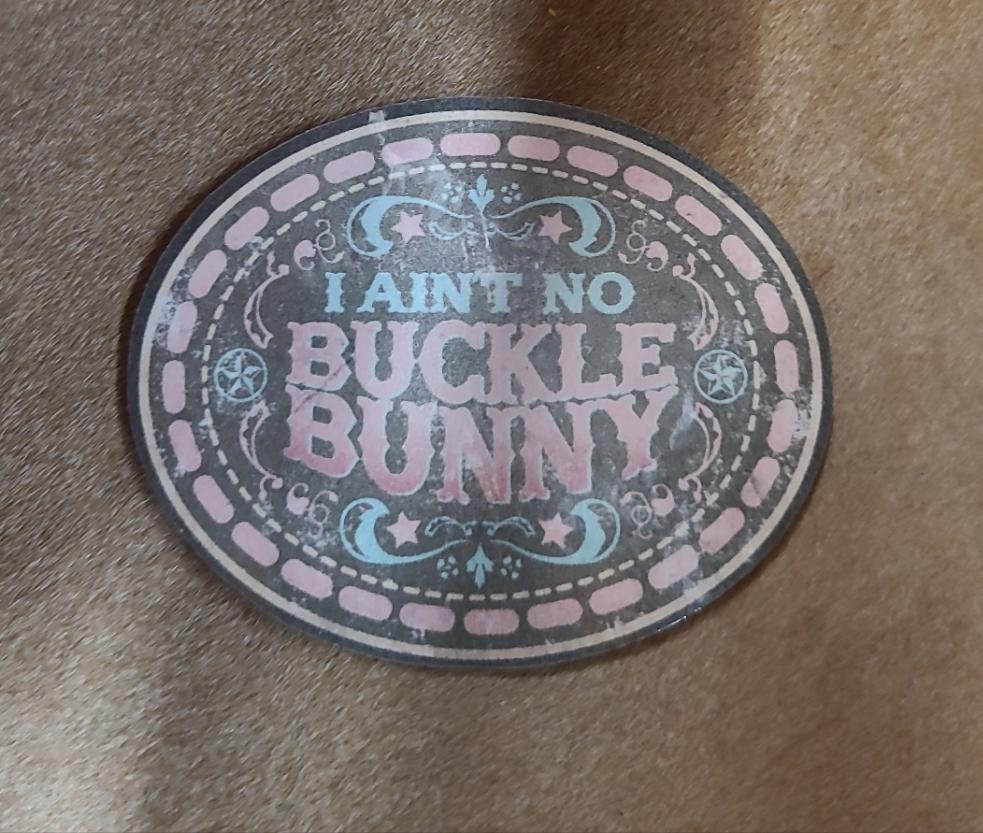 Ain’t No Buckle Bunny Sticker – Horse Creek Outfitters