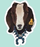 Livestock Wearing Turquoise Sticker Decals