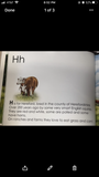 CJ Brown “The Cow Book”
