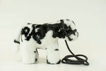 Little Buster Medium Black & White Crossbred Cow