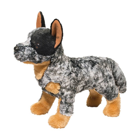 Australian Cattle Dog-Bolt