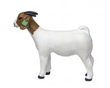 Little Buster Grand Champion Boer Doe