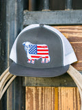 Lazy J Ranch Grey & White American Flag Bull Cap