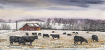 CJ Brown First Snow Christmas Post Card