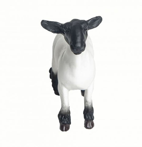 Little Buster Grand Champion Crossbred Market Lamb