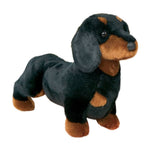 Black & Tan Dachshund-Spats