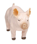 Little Buster Yorkshire Show Pig